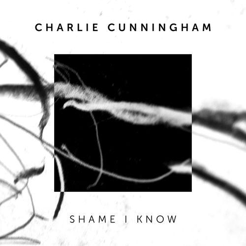 Album cover art for Shame I Know