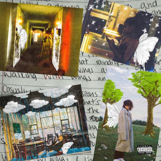 Album cover art for The Same