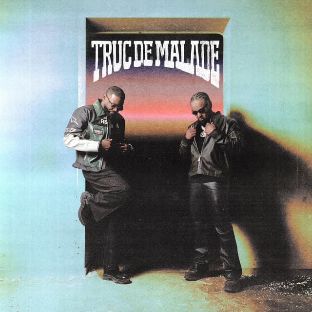 Album cover art for Truc de malade