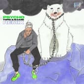 Album cover art for Psycho! (Topic & B-Case Remix)
