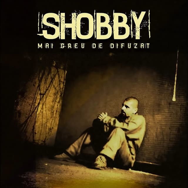 Album cover art for Mai Greu De Difuzat