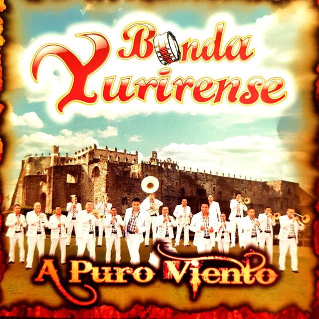 Album cover art for Puras instrumentales
