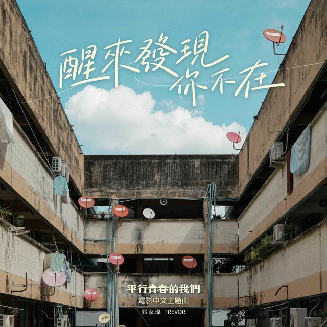 Album cover art for 醒來發現你不在