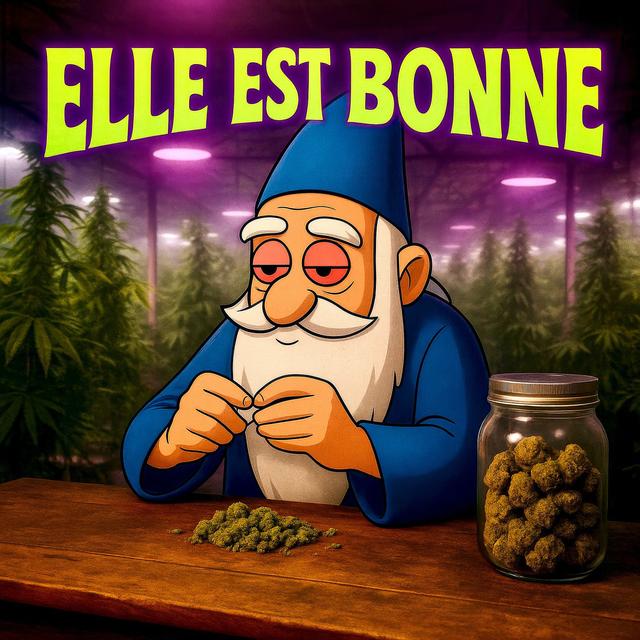 Album cover art for Elle est bonne