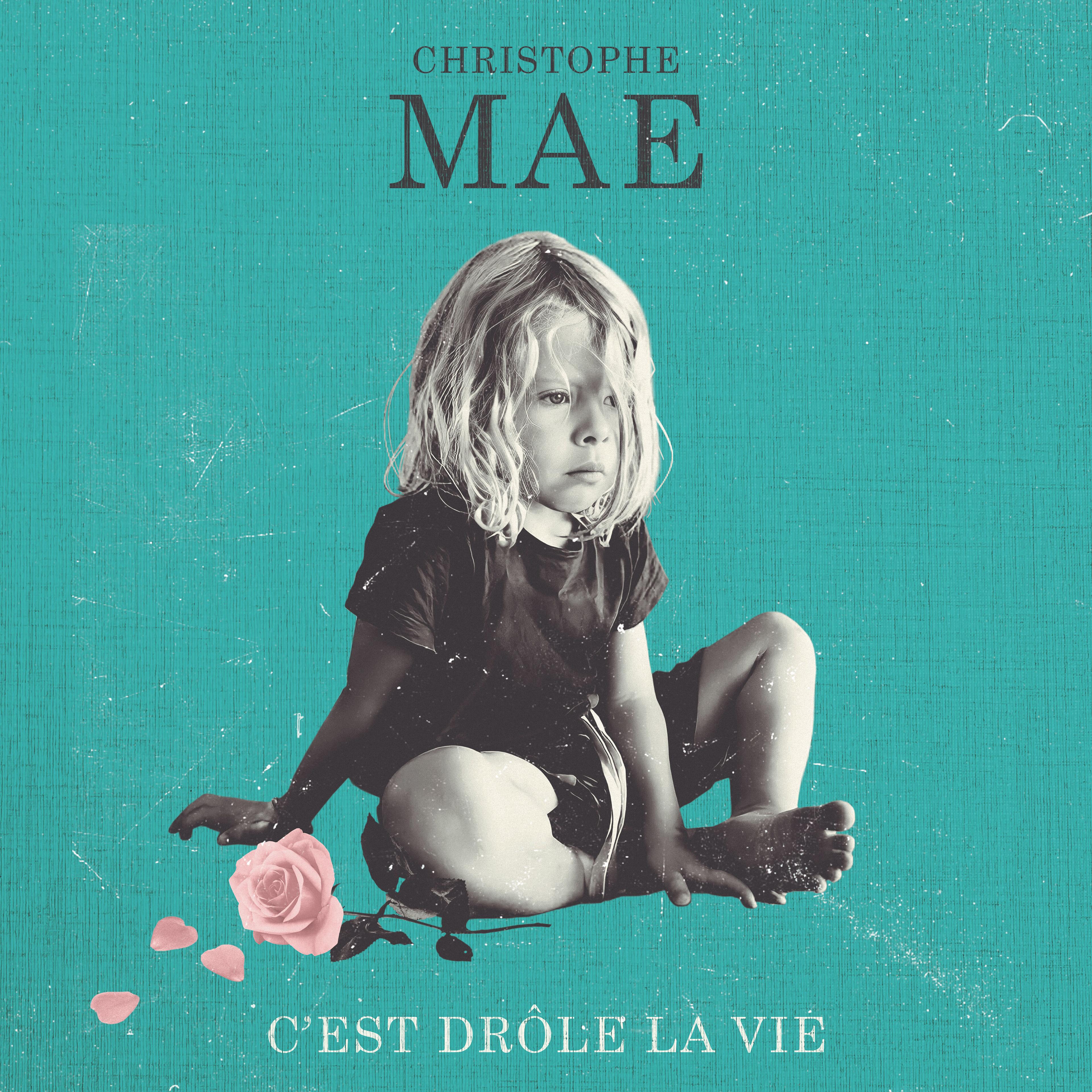 C'est Drôle la Vie
