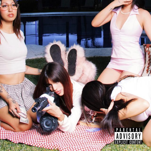 Album cover art for Porque Quise