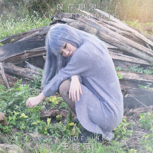 Album cover art for 保存期限