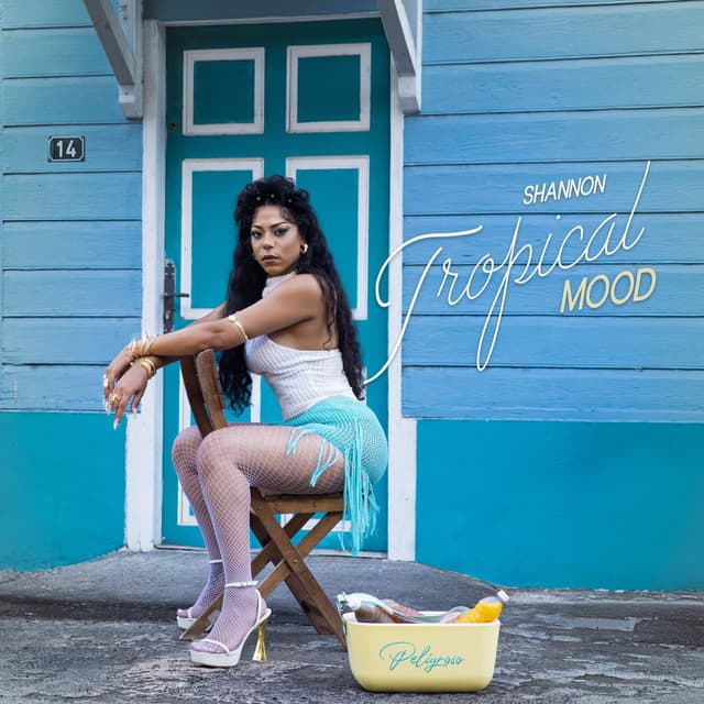 Album cover art for TROPICAL MOOD