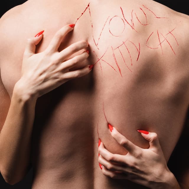 Album cover art for KITTY CAT