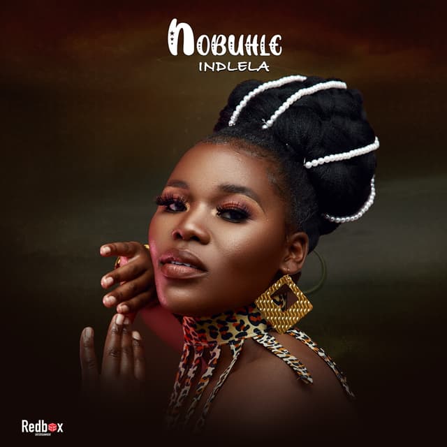 Album cover art for Indlela