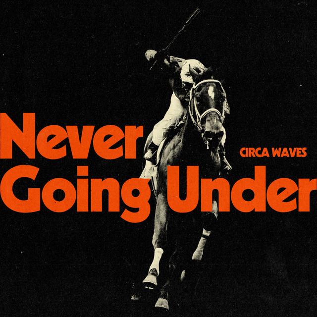 Album cover art for Never Going Under