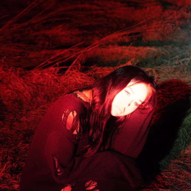 Album cover art for break the mirror