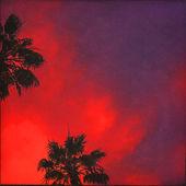 Album cover art for Warpaint