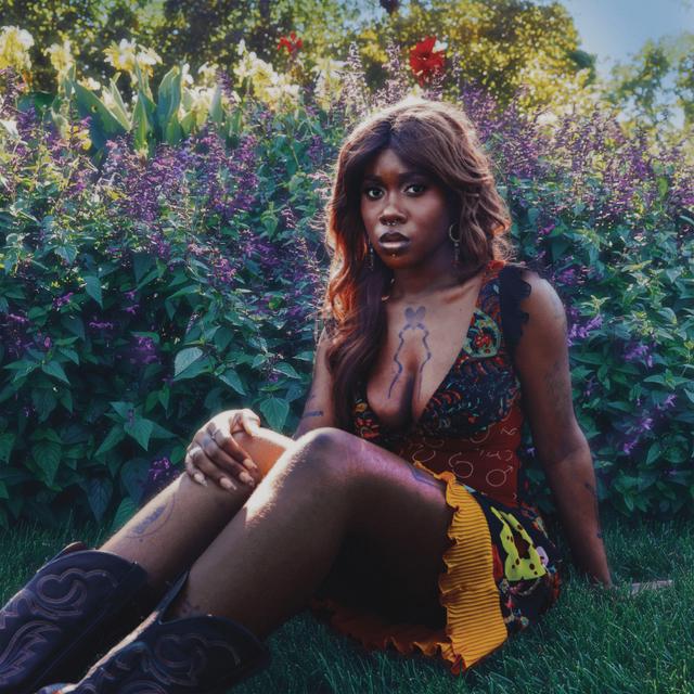 Album cover art for Why Does the Earth Give Us People to Love?