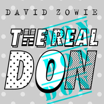 Album cover art for The Real Don