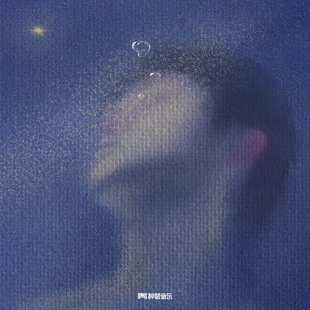 Album cover art for 错以为