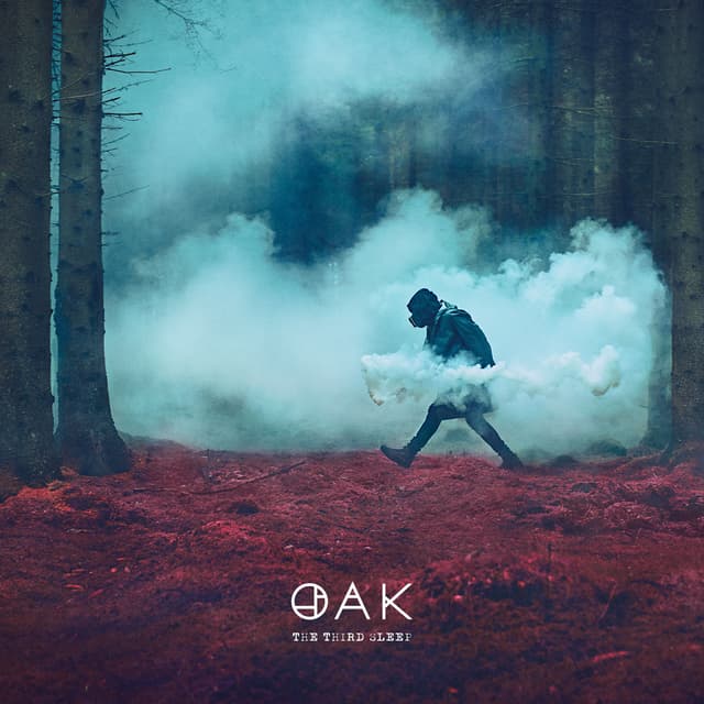 Album cover art for The Third Sleep