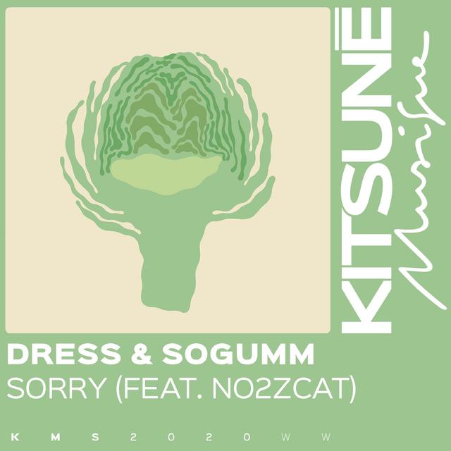 Album cover art for Sorry (feat. No2zcat)