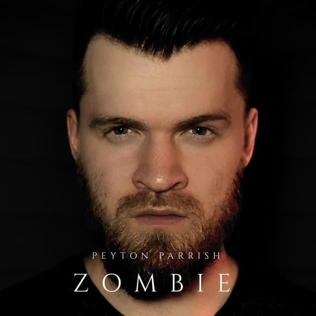 Album cover art for Zombie