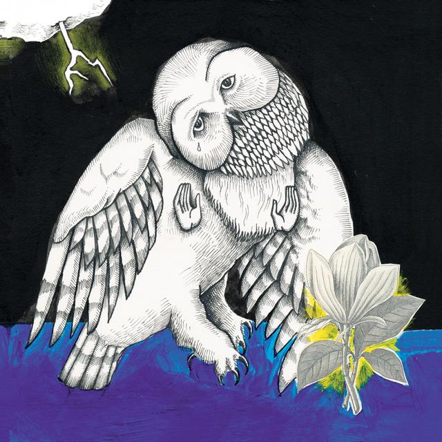 Album cover art for The Magnolia Electric Co.