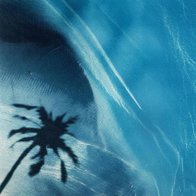 Album cover art for Palese