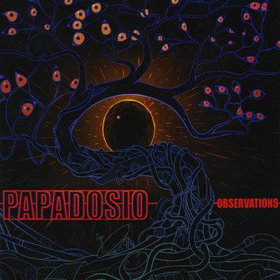 Album cover art for Observations