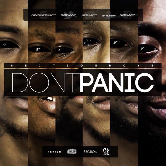 Album cover art for Don't Panic