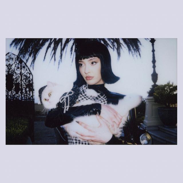 Album cover art for PEACE & VIOLENCE