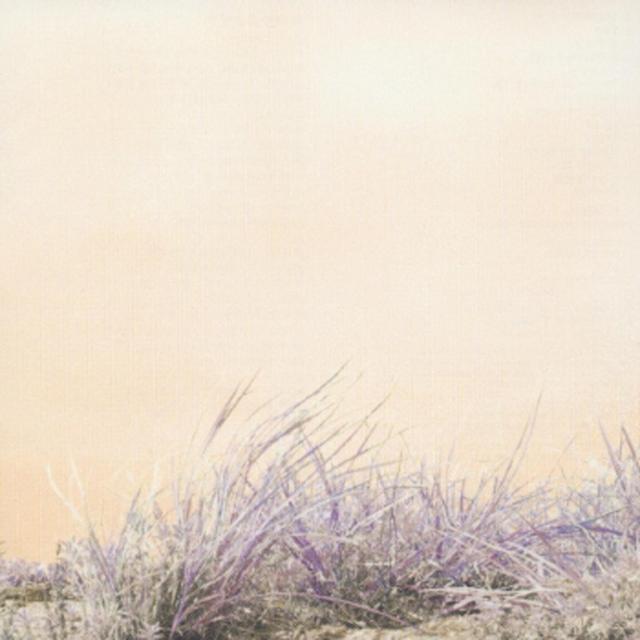 Album cover art for Love / Hate