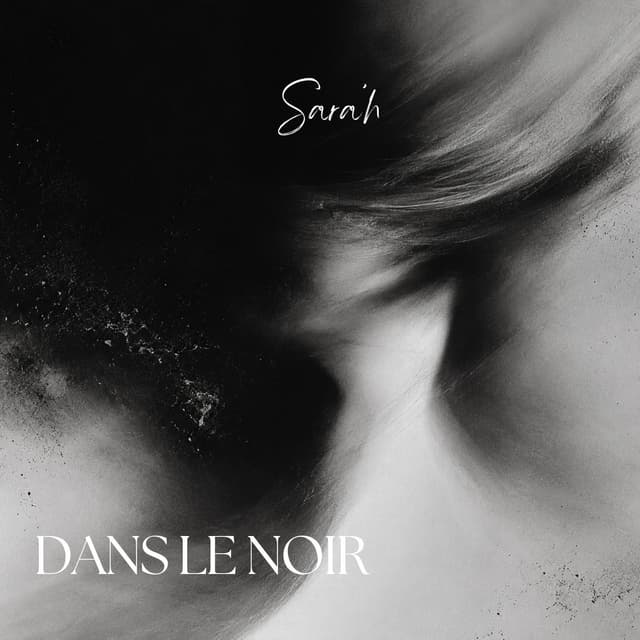 Album cover art for Dans le noir