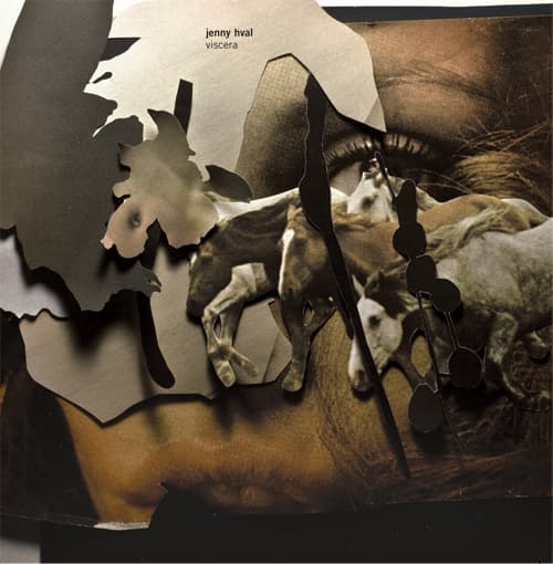 Album cover art for Viscera