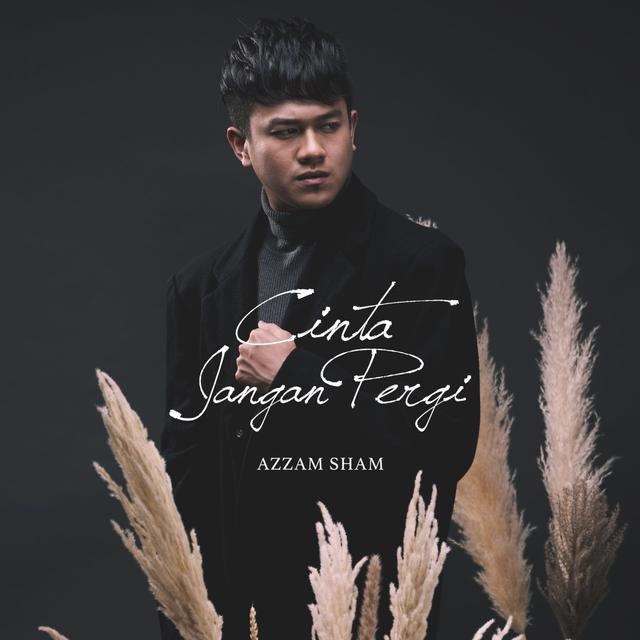 Album cover art for Cinta Jangan Pergi