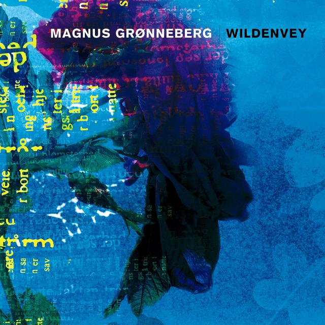 Album cover art for Wildenvey