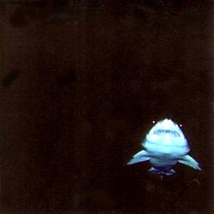 Album cover art for In The Red