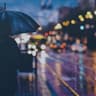 비오는 압구정 Rainy Apgujeong (Rainy Apgujeong)