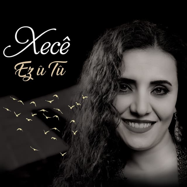 Album cover art for Ez û Tû