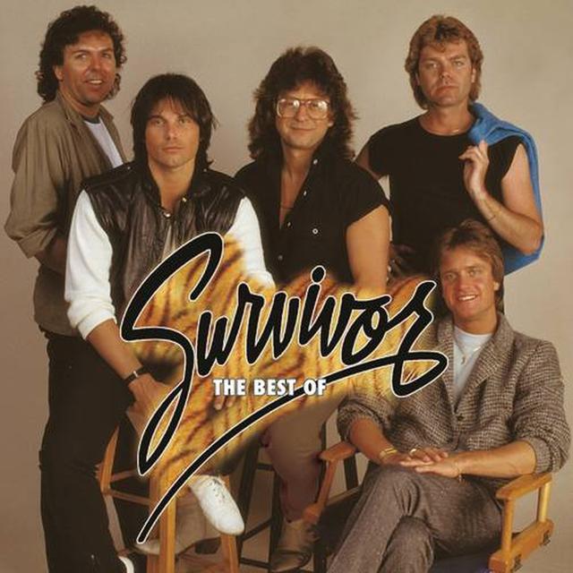 Album cover art for The Best of Survivor