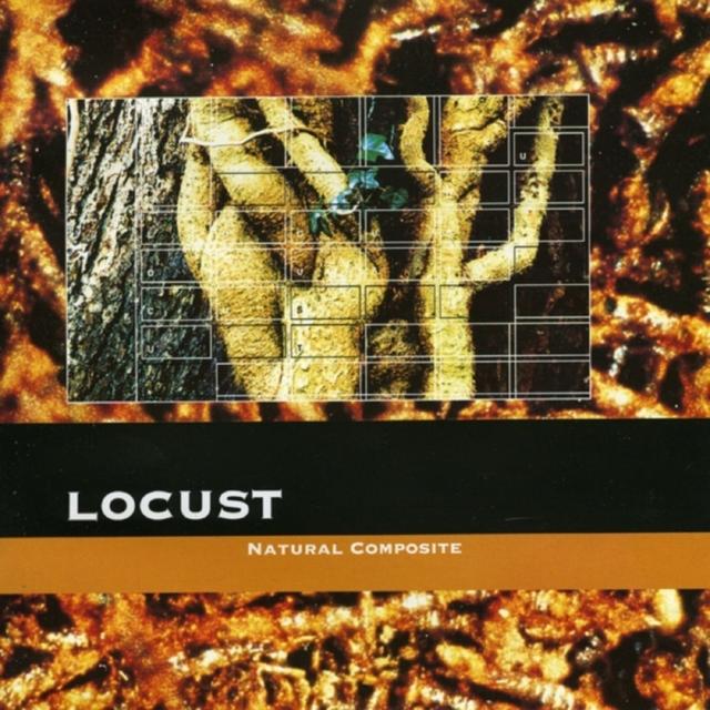 Album cover art for Natural Composite