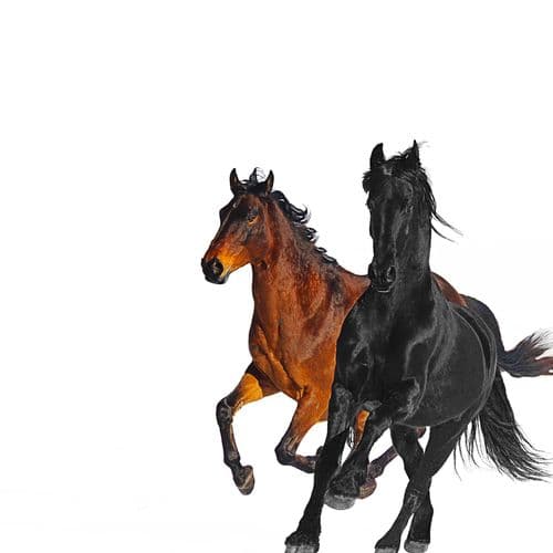 Album cover art for Old Town Road [Remix]