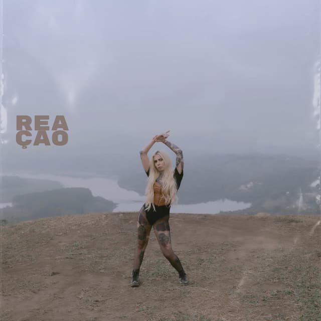 Album cover art for Reação