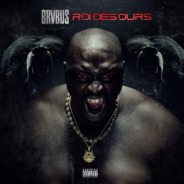 Album cover art for Roi des ours
