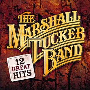 Album cover art for 12 Great Hits