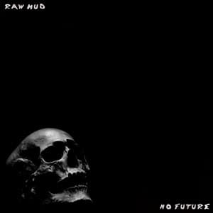 Album cover art for No Future