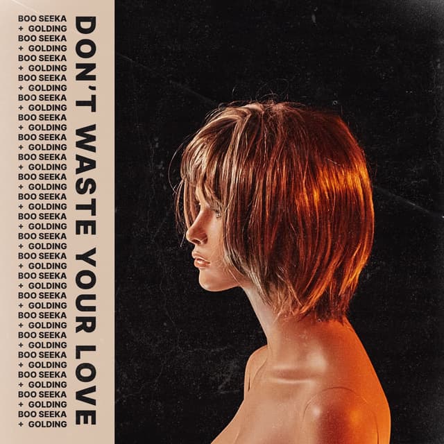 Album cover art for Don’t Waste Your Love