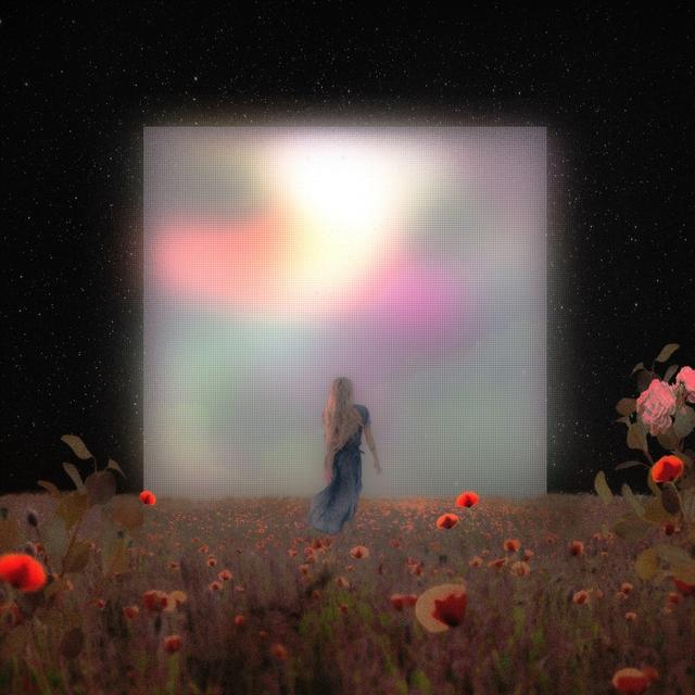 Album cover art for Every Night