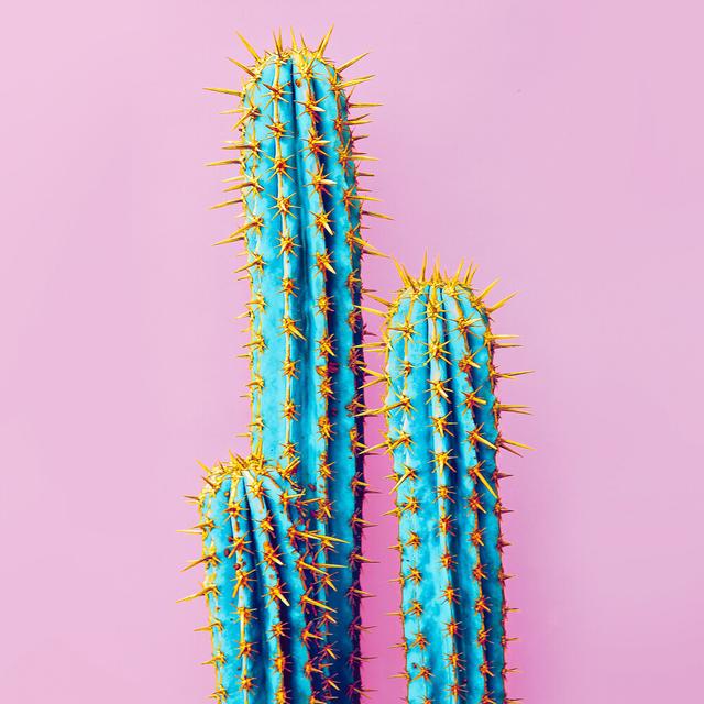 Album cover art for Into the Heat