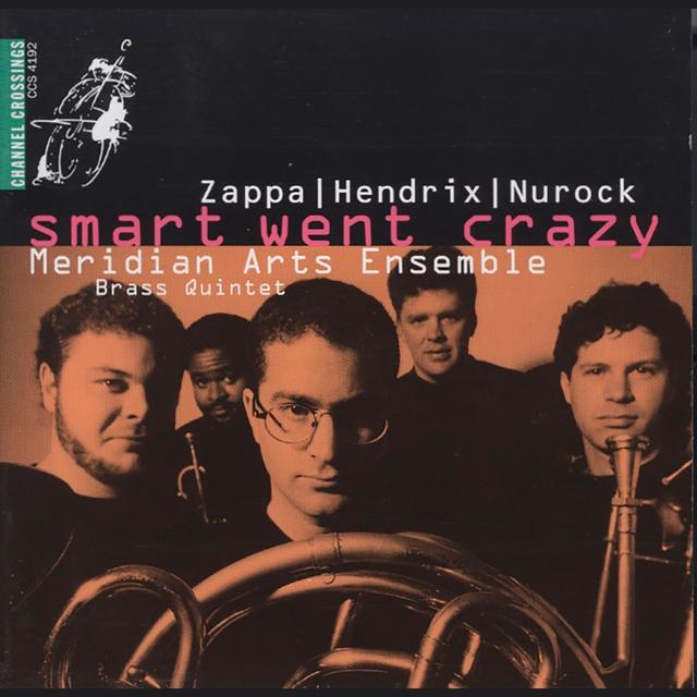 Album cover art for Smart Went Crazy