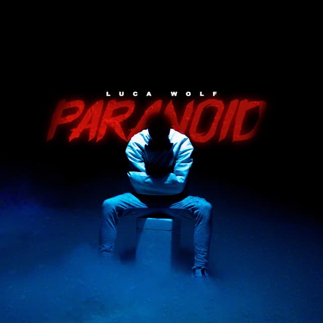 Album cover art for Paranoid
