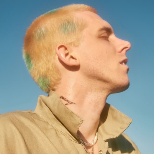 Album cover art for imago