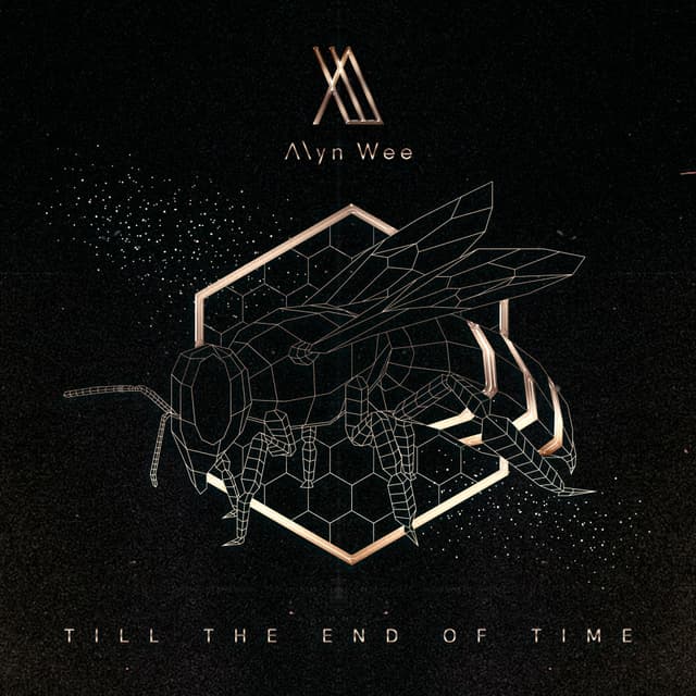 Album cover art for Till the End of Time